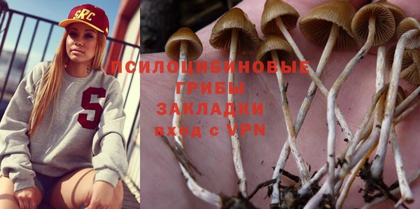 синтетический гашиш Алексин